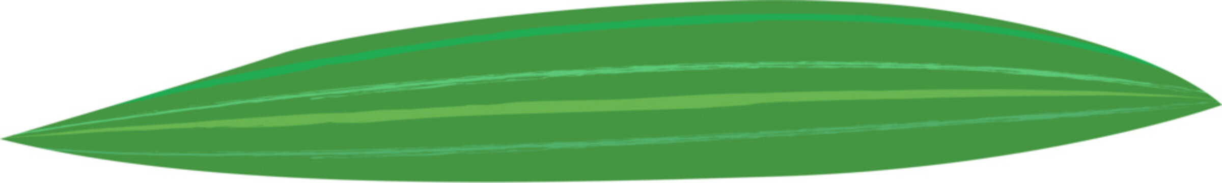 Bamboo Leaf