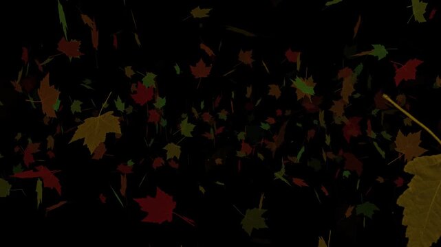 red and green abstract leaves leaf. autumn leaves motion video.
