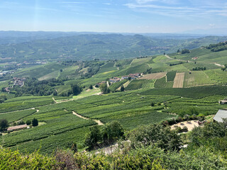 Naklejka premium Panoramic View of Rolling Vineyards in La Morra Piedmont Italy