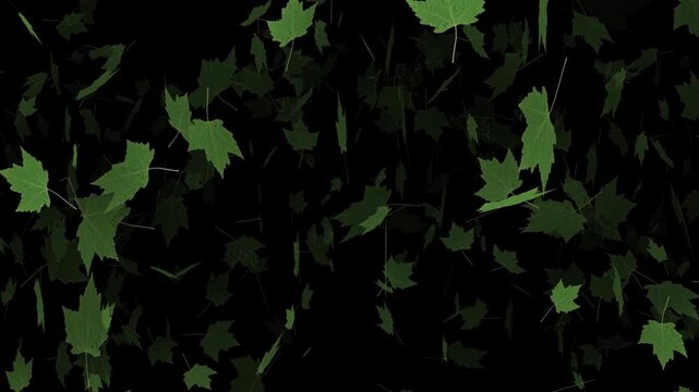 green leaves background motion video