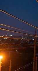 Fototapeta premium Nighttime Cityscape with Power Lines and Lights.