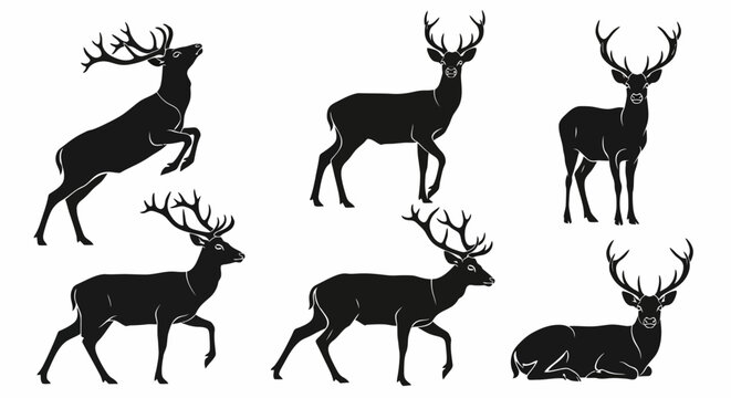 Set of Deer Silhouettes in Various Poses