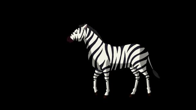 Cartoon Zebra alpha matte 2D animation HD