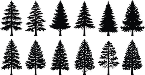 Obraz premium Silhouette Collection of Pine and Fir Trees for Nature, Forest, and Landscape Designs