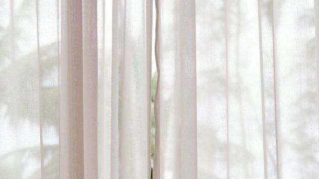 A view of bright, blurry palm trees seen through sheer, translucent pink or beige curtains. a tropical vacation hotel room or a relaxing morning with a sunny outdoor vista.concept travel and relax	
