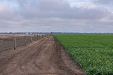 Fototapeta premium Green fields of fodder grass, a dirt road and empty fields beyond a pole fence, all stretching out into the distance to small gas extraction units under an overcast sky in Queensland, Australia.
