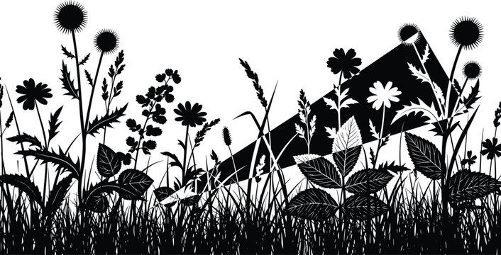 Black and white wildflower meadow border silhouette with thistle flowers and decorative grasses on white background for nature inspired floral design,