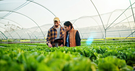Growth, discussion or people on farm with clipboard for check list, sustainability or harvest. Agriculture, greenhouse and farmer team with agro business for quality control, healthy crops or produce © peopleimages.com