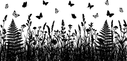 Wide panoramic black and white vector silhouette of a meadow field with various wild grasses ferns and flying butterflies. © Delowara
