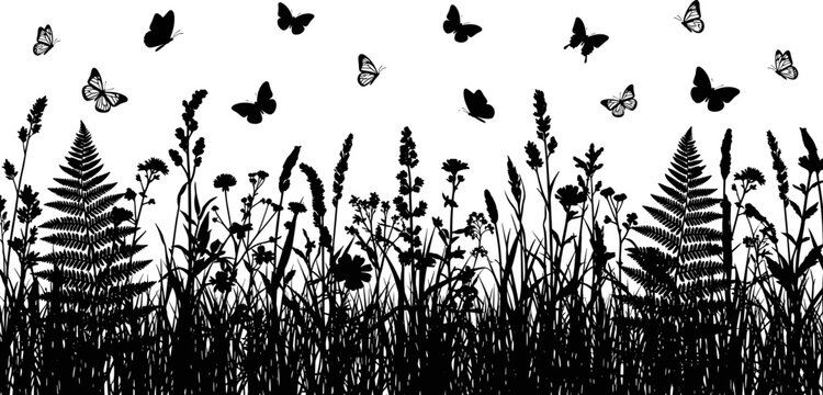 Wide panoramic black and white vector silhouette of a meadow field with various wild grasses ferns and flying butterflies.