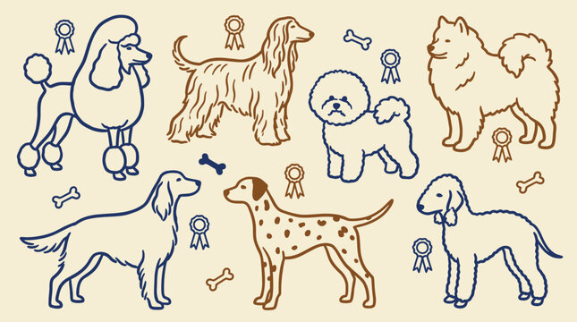 Collection of purebred dog breeds and competition awards for veterinary clinic branding and pet show promotional materials