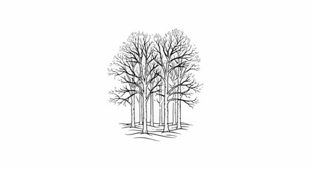 Fototapeta premium Black and white line drawing of a cluster of bare trees