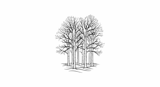 Black and white line drawing of a cluster of bare trees