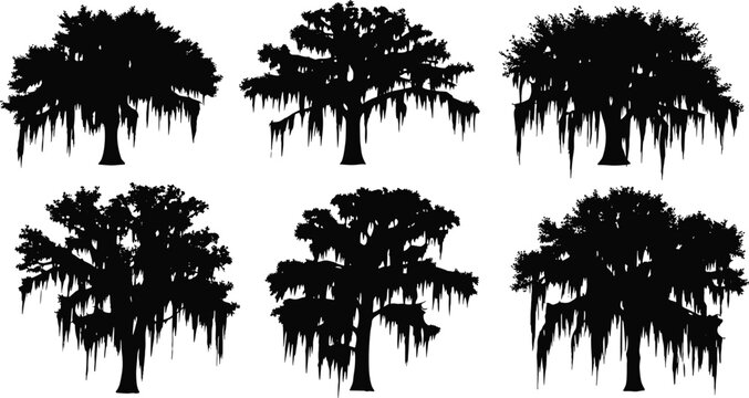 Set of swamp tree silhouettes with hanging moss, detailed woodland elements isolated for nature landscape and vector illustration design