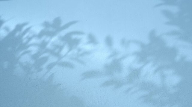 4K Minimal silhouette shadow light of tropical leaves swaying in the wind on aqua blue color clean cement wall background in slow motion. for summer, healthy concept