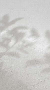 Minimal silhouette shadow of tropical leaves swaying in the wind on gray clean cement wall background in slow motion. Vertical orientation for social media.for summer concept