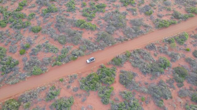 Topdown Aerial of 4WD Driving Along Red Dirt Track in Francois Peron National Park, Remote Outback Bushland in Western Australia - Drone Shot