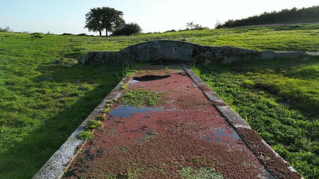 Low angle view of a rural livestock water trough with algae and water reflection, set in green countryside landscape under soft natural light.