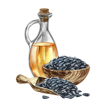 Sunflower oil. Hand-drawn watercolor illustration. Glass bottle of oil, wooden cup, and a scoop of sunflower seeds. Element of label and packaging design, banners, posters, and more.