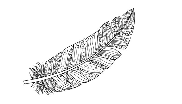 Intricate illustration of a detailed, curved bird feather on a white backdrop