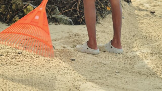 Person rakes beach sand creating smooth surface on tropical sandy shore