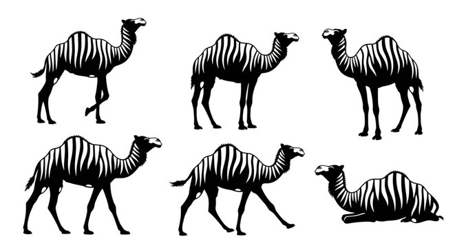 Set of Camel Silhouettes with Zebra Stripes Pattern