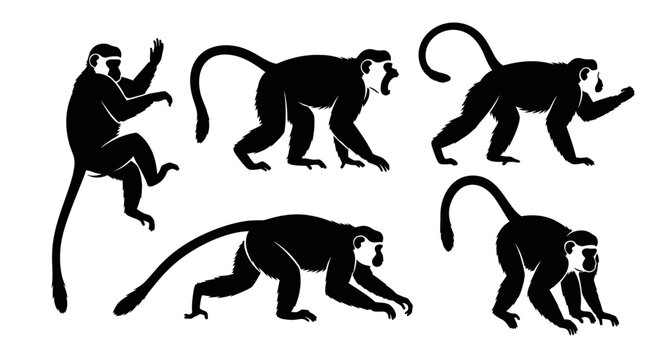 Set of Monkey Silhouettes in Various Poses