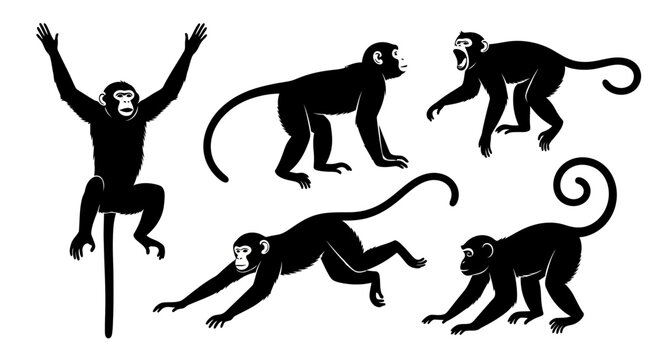 Set of Monkey Silhouettes in Various Poses