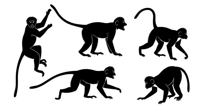 Set of Monkey Silhouettes in Various Poses