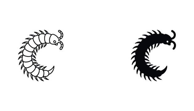 Centipede insect crawling silhouette and outline vector icons for biology or pest control service branding assets