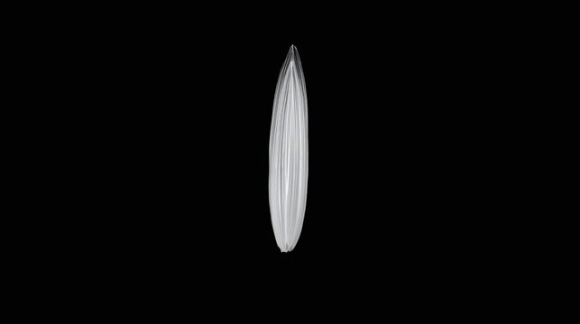 Abstract water splash fountain jet against black background
