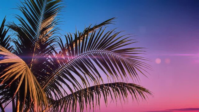 Vibrant tropical sunset with silhouetted palm tree fronds against a stunning gradient sky, evoking serene vacation vibes and exotic leisure