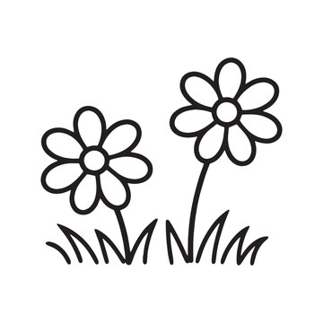 Simple Daisy Flowers Grass Illustration