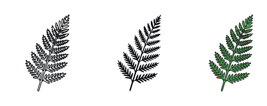 Vintage fern leaf vector set, botanical forest foliage illustrations, hand drawn green and black fern fronds for nature branding and wedding stationery