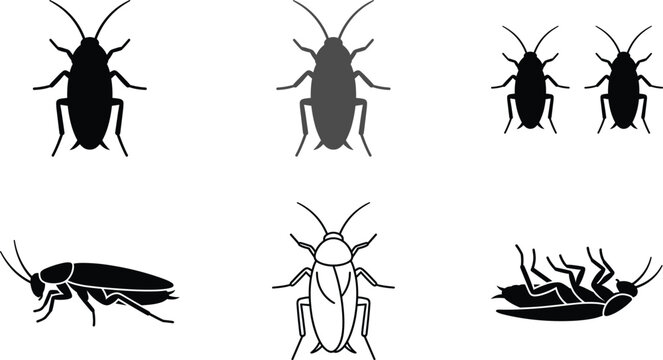 Cockroach silhouettes and outline icon set showing insect views dead and crawling poses isolated