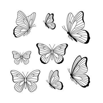 Butterfly Vector Line Art Illustrations Set on White Background