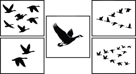Flying geese silhouettes collage flock formation migration wildlife birds vector illustration collection set © MdSumon