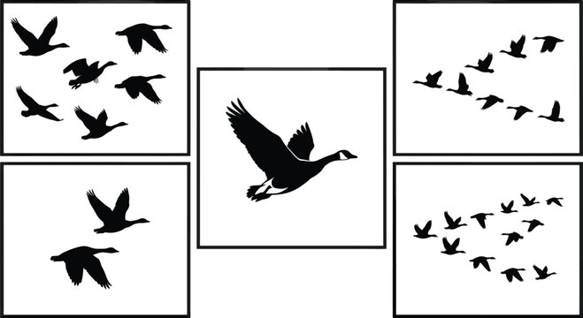 Flying geese silhouettes collage flock formation migration wildlife birds vector illustration collection set