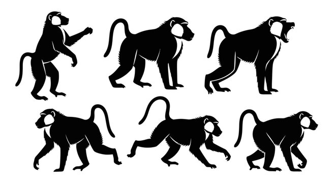 Set of Baboon Silhouettes in Various Poses