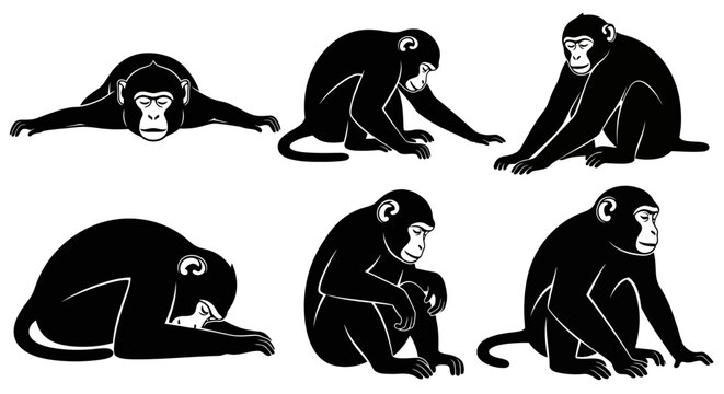 Set of six black silhouette illustrations of monkeys in various poses on a white background