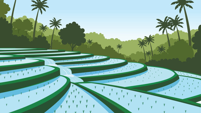 Layered Terraces Bali Rice Flat Design Illustration
