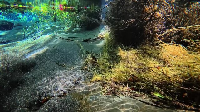 水中の竹崎水源