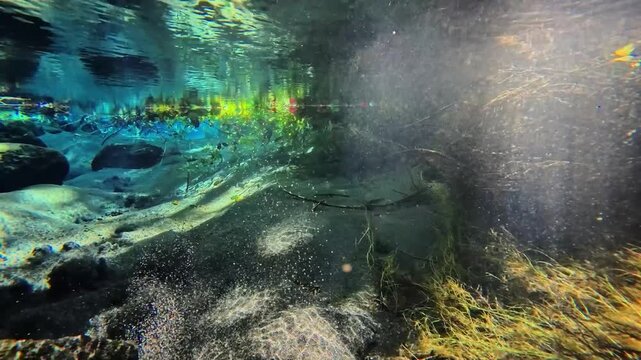 水中の竹崎水源