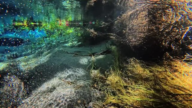 水中の竹崎水源