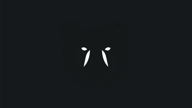 Minimalist White Eyes on Black Background Representing Mystery and Intrigue.