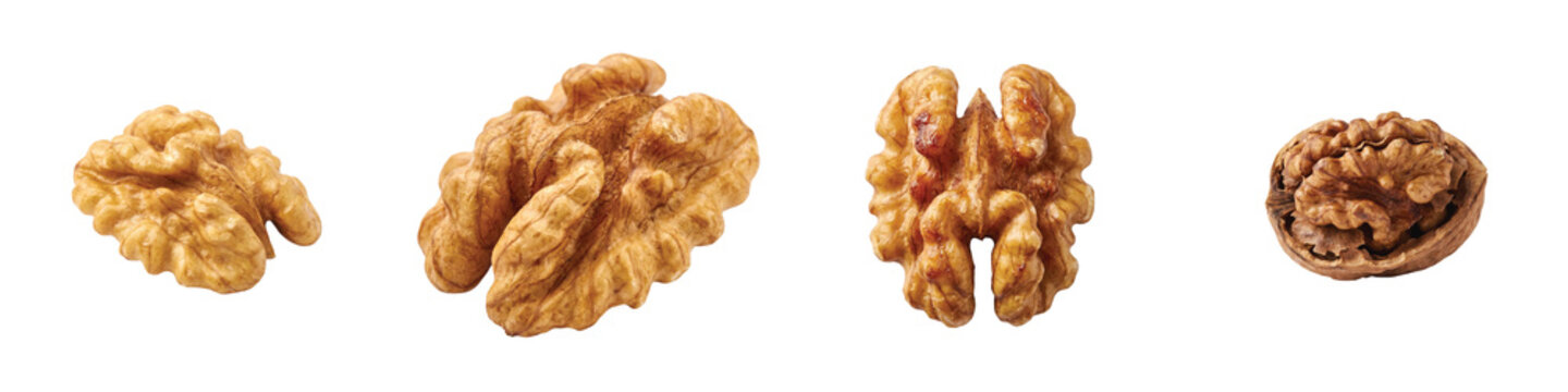 Shelled walnut kernels set, organic raw walnuts collection, realistic brown nut halves for healthy snack packaging and food design isolated on Transparent Background