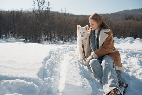 Winter walk with Akita puppy in snowy scenery