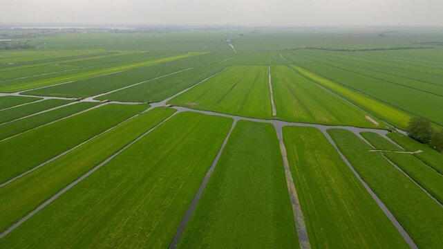Aerial flight over dutch polder landscape and green fields