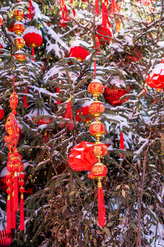 Chinese New Year lanterns hanging on snowy evergreen tree