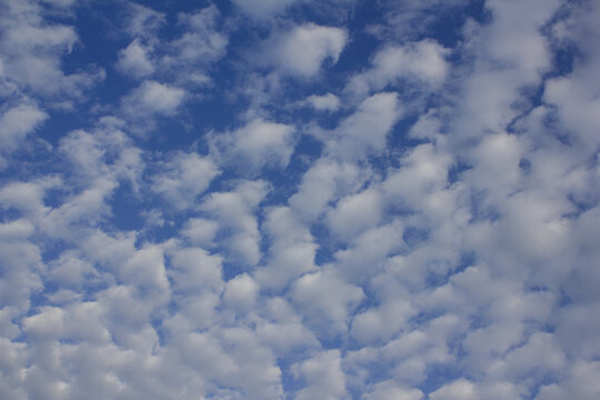 The sky is covered with fluffy clouds